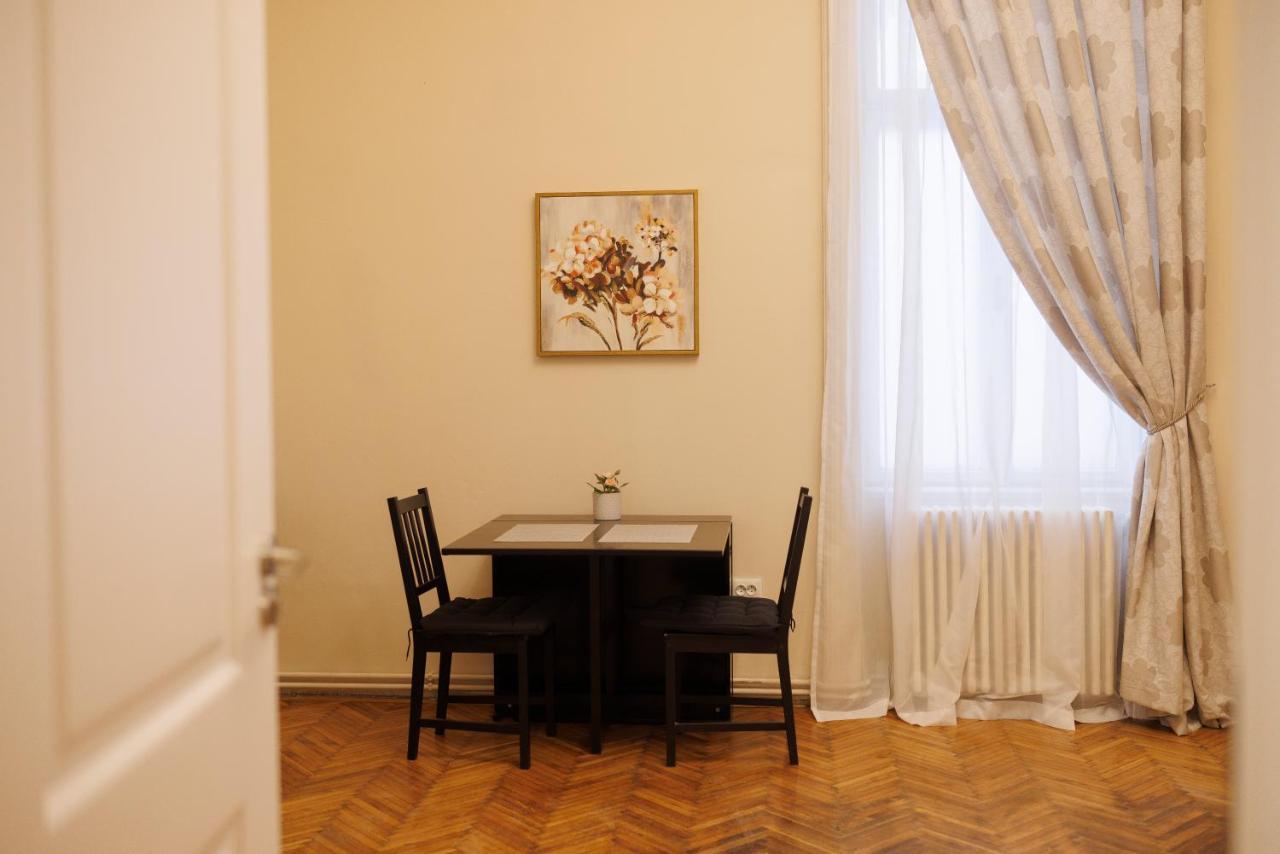 Spacious Flat In Old Town Wi-Fi Timisoara Exterior foto